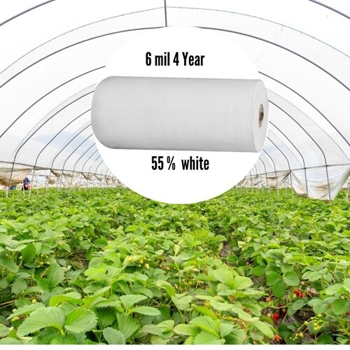 White Greenhouse Film 6 mil 4 Year