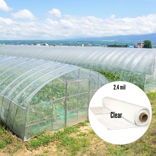 Overwintering Greenhouse Film 2.4 mil clear