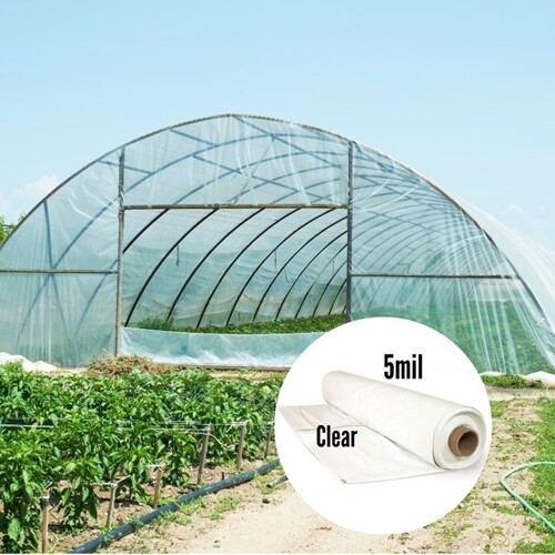 Overwintering Greenhouse Film 5 mil Clear