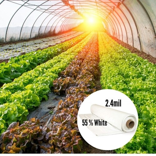 Overwintering Greenhouse Film 2.4 mil 55% whit