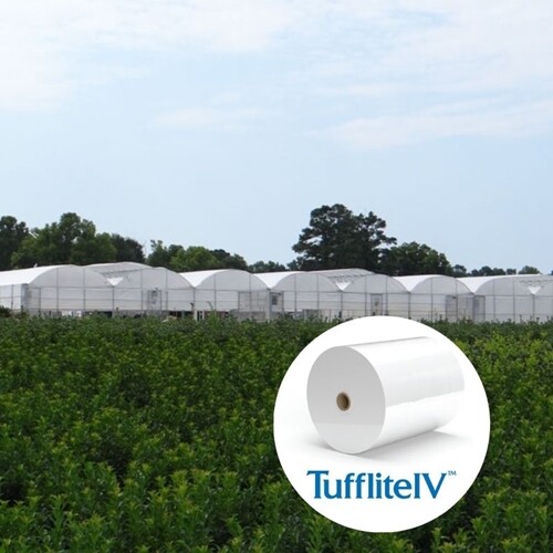 Tufflite UVA Clear Greenhouse Film 6 mil 4 Year