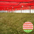 ChromatiNet Red Shade Net 40%: 40-45% Shade Protection