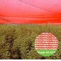 ChromatiNet Red Shade Net 60%: 60-65% Shade Protection