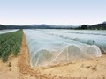 Anti-Insect Netting 50 Mesh