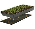 Propagation Tray 72-Cell Insert, 2" dome