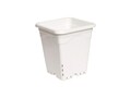 Square White Pot