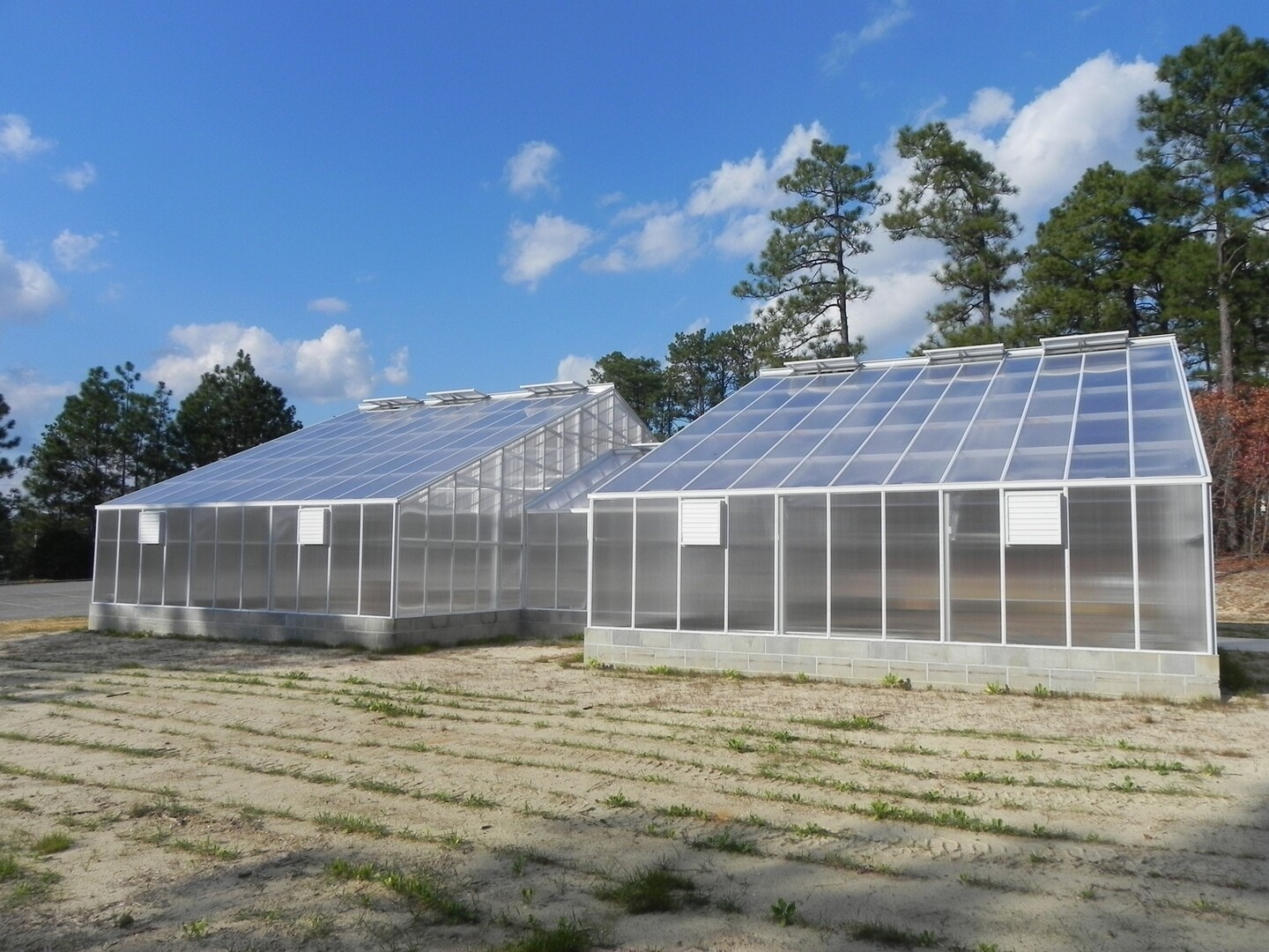 Double 40 '  x  22' with connector TR Greenhouses-University of south Carolina greenhouse