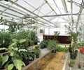 Grand A-Frame Teaching Greenhouse Package