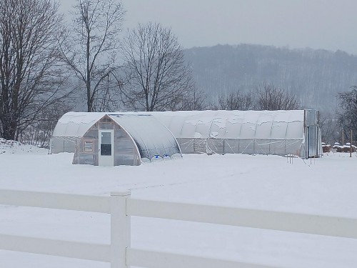 12 x 16 Gothic Arch Greenhouses 