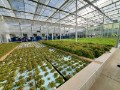 Picture of 30 'W x 48 ' L Grand A-Frame School Aquaponics Package  