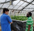 Picture of 30 'W x 48 ' L Grand A-Frame School Aquaponics Package  