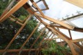 Roof view displaying efficient ventilation system and clear glazing of Cedar Rustic T-Garden Cross Greenhouse.