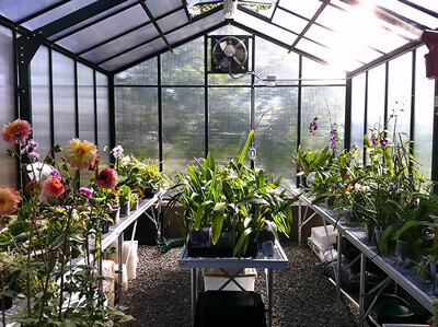 Polycarbonate & Aluminum Greenhouse