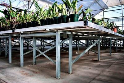 Greenhouse Benching