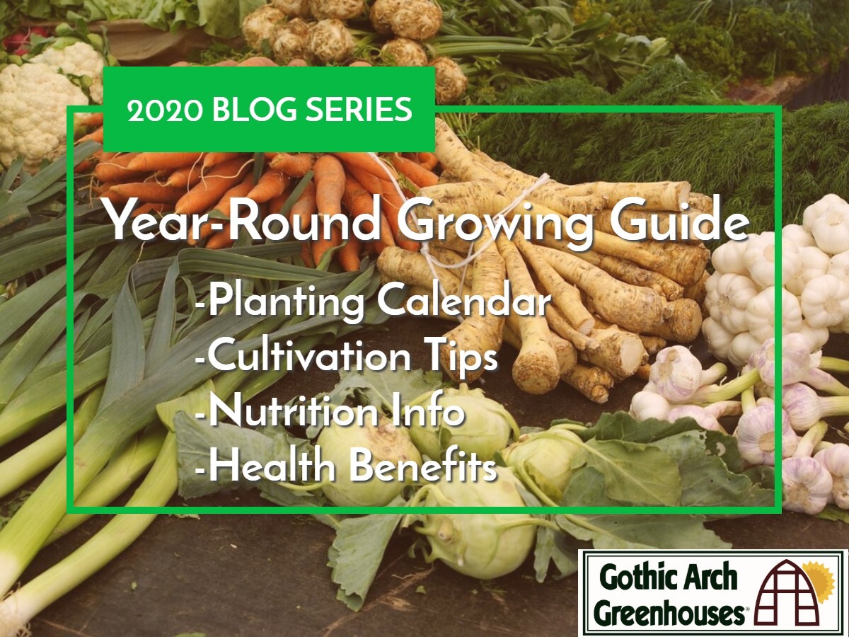 2020 year-round growing guide
