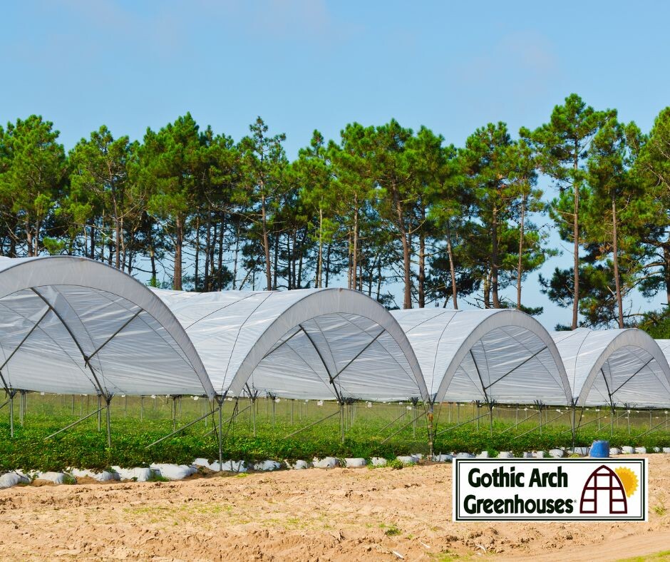 6 Ways to Use Shade Cloth