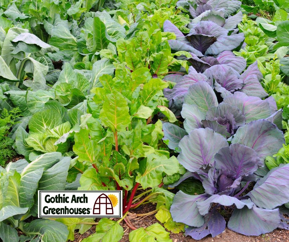 7 (More) Crops That Grow Best in Winter Gardens