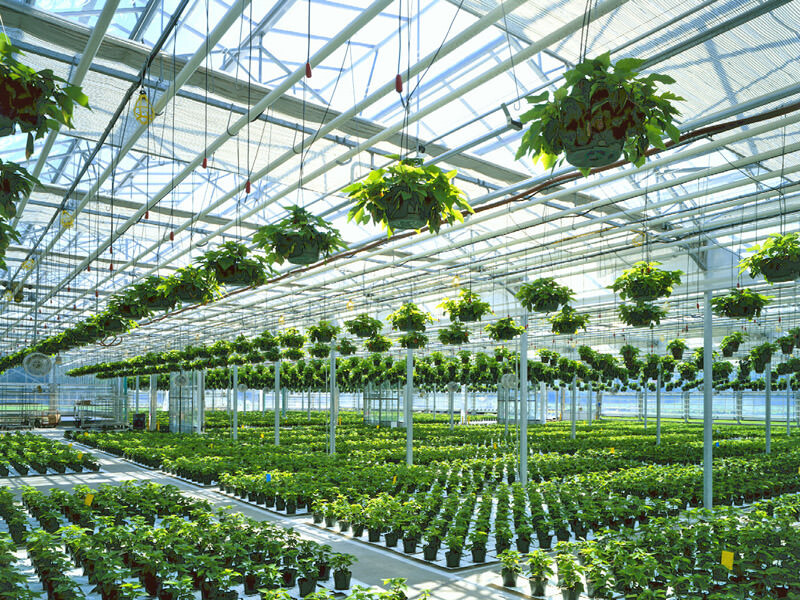 Energy-efficient commercial greenhouses for sustainable farming|Gothic ...