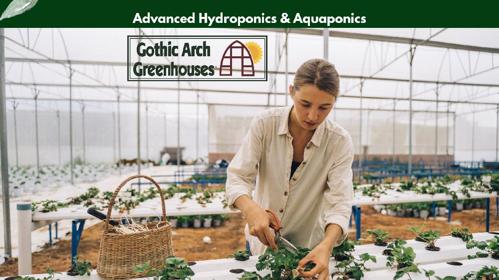 your-image-path.png" alt=Infographic illustrating advanced hydroponics and aquaponics including water-based plant growth, aquaponic fish systems, cutting-edge hydroponic techniques, and system biofilters.