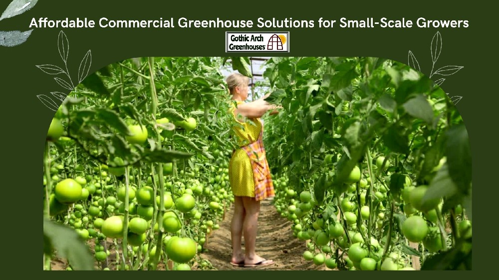 A small-scale grower inspects plants in an affordable commercial greenhouse.