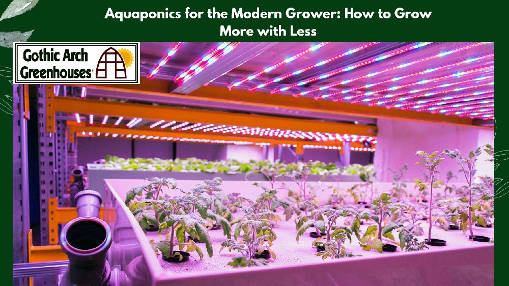 Aquaponics for the Modern Growers