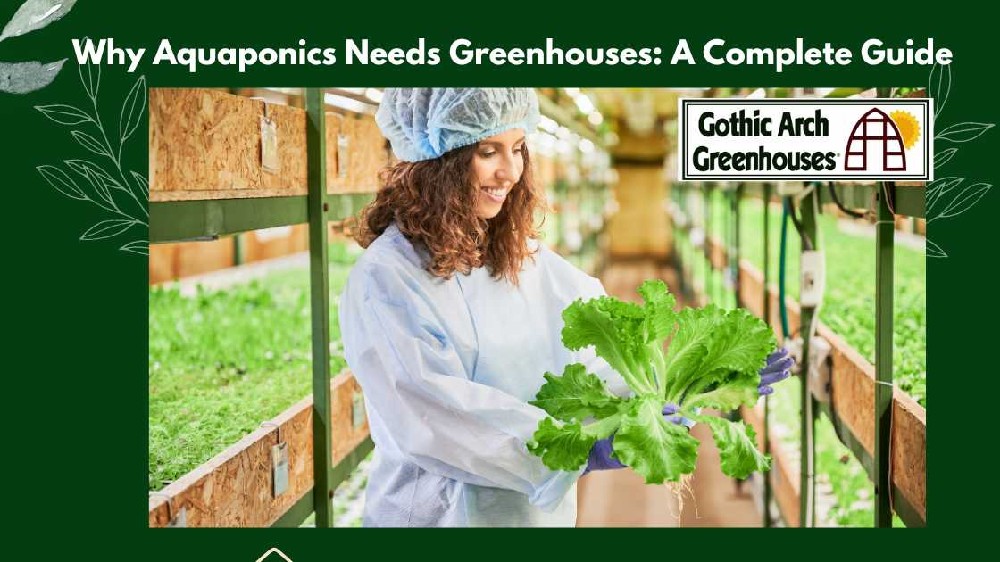 Aquaponics Greenhouses 