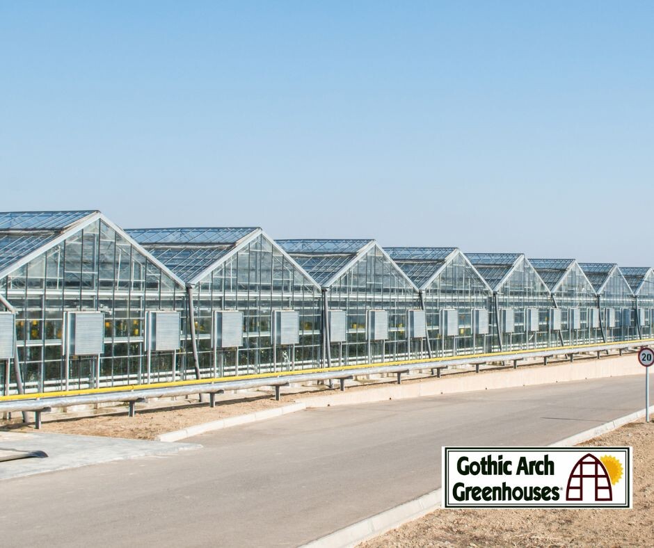 Best Coverings for Commercial Greenhouses