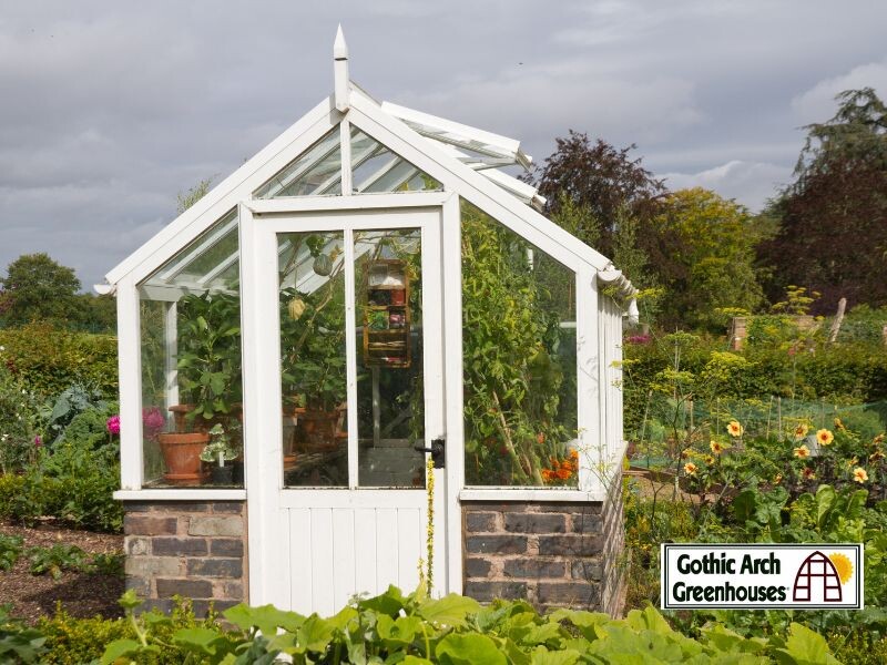 What to Consider When Buying a Greenhouse