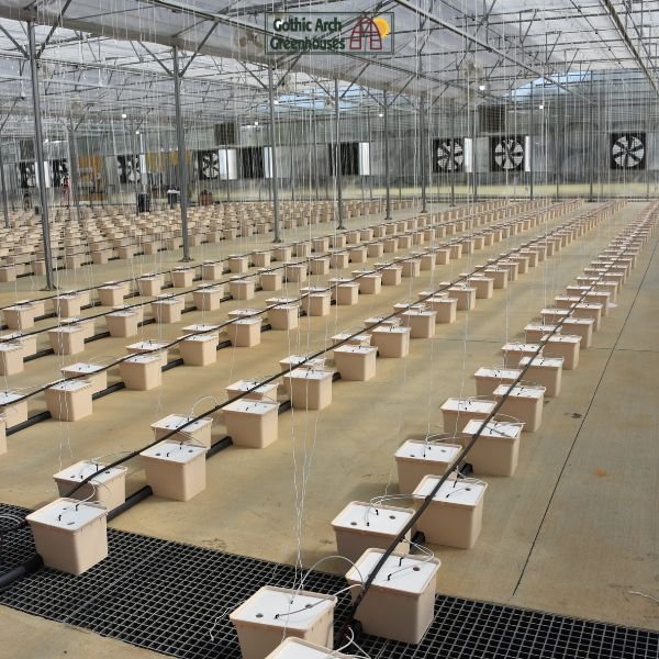 Advanced climate-control system inside a commercial greenhouse with automated ventilation, heating panels, and digital monitoring dashboard.