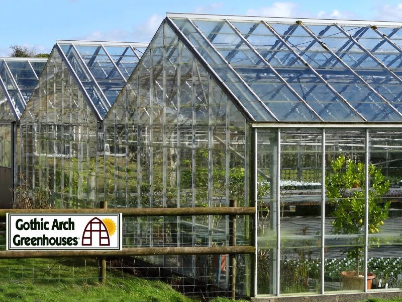 Common Greenhouse Maintenance Issues and Solution