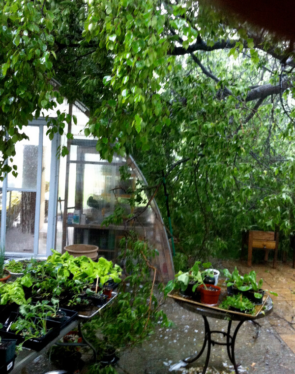 Gothic Arch Greenhouses Customer Review