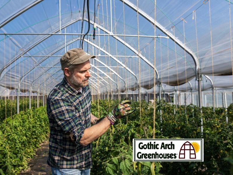 Environmental Control Systems in Greenhouses
