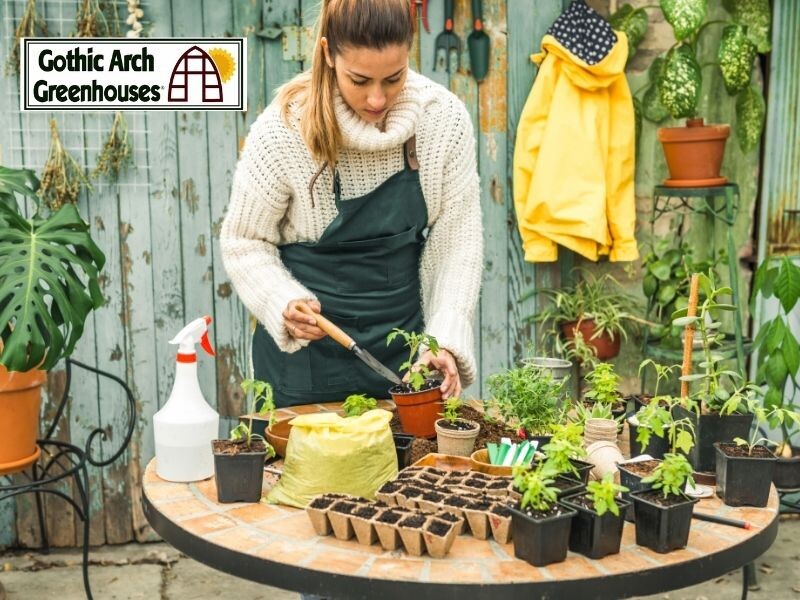 5 Winter Growing Tips to Keep You Gardening