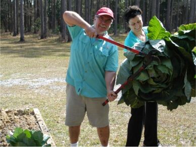 The Joy of Gardening