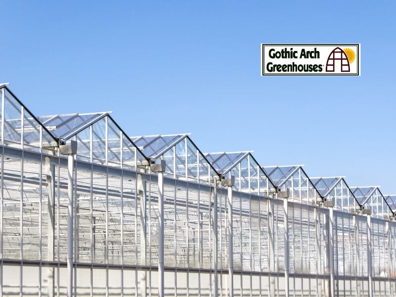 Most Energy-Efficient Ways to Cool a Greenhouse in Summer