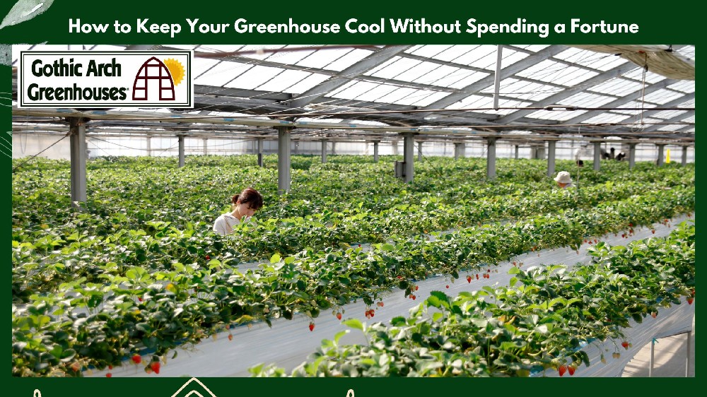  Greenhouse with shade cloth, misting system, and ventilation for cost-effective cooling.