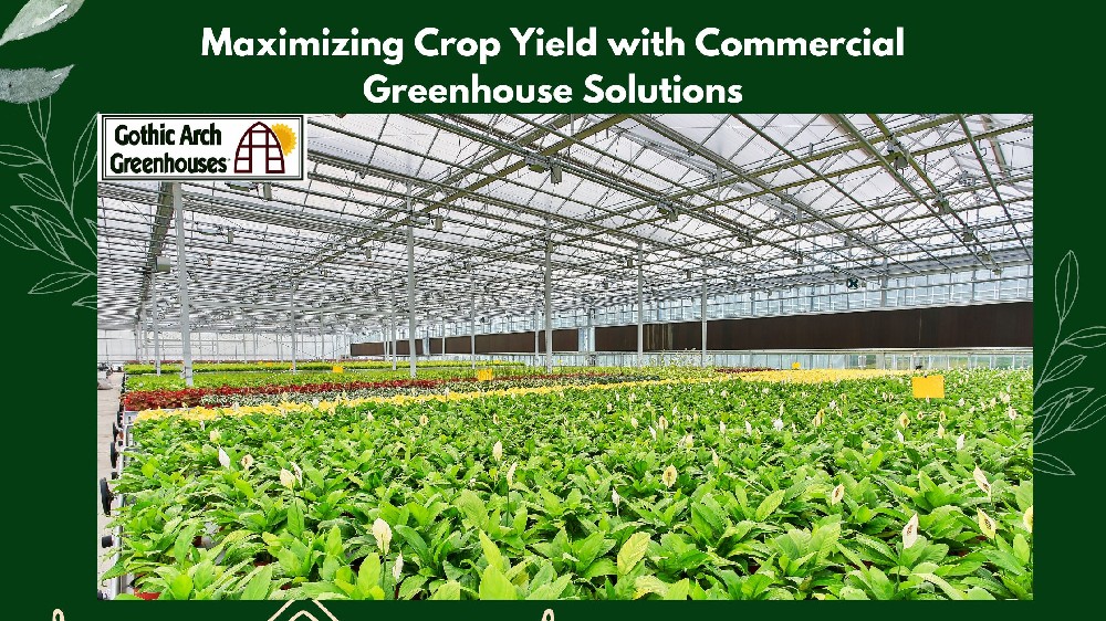 commercial greenhouse farming