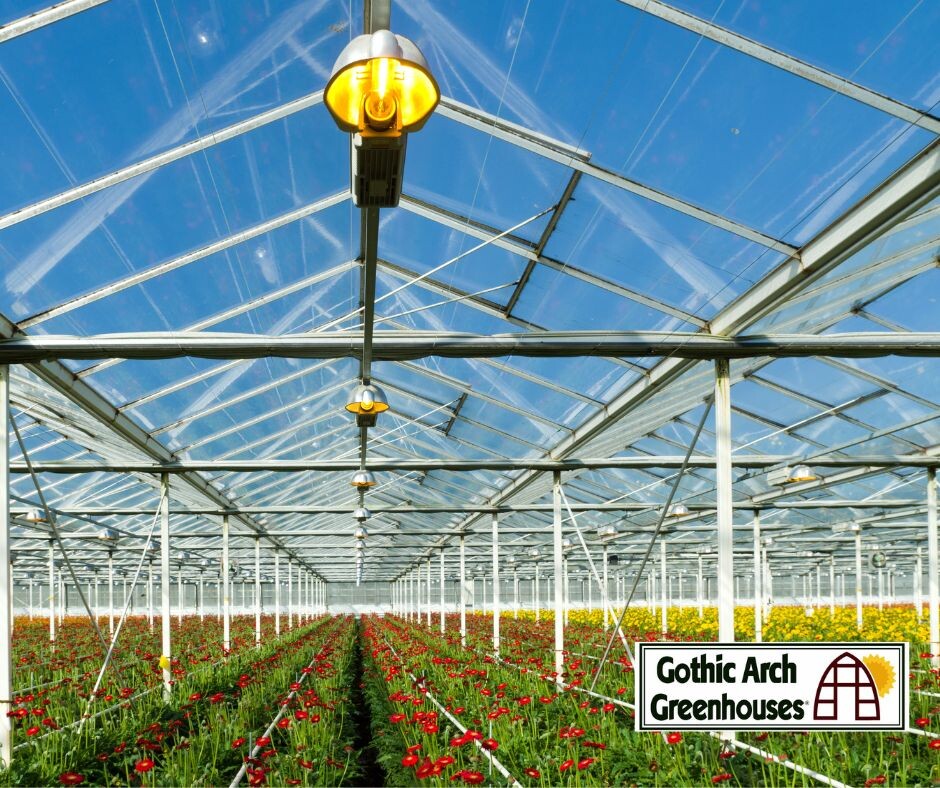 Understanding Greenhouse Lighting Options