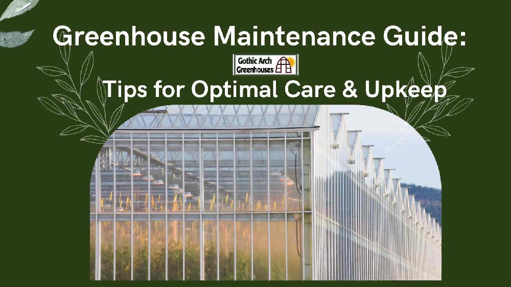 A well-maintained greenhouse with lush plants, demonstrating effective care and upkeep practices.