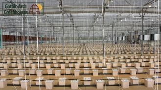 Digital thermometer and humidity sensor inside a greenhouse, monitoring environmental conditions.
