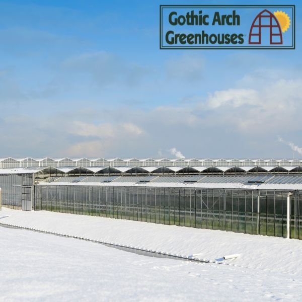 Winter greenhouse with frost outside but thriving plants inside