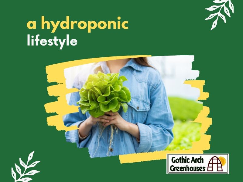  Hydroponic Gardening