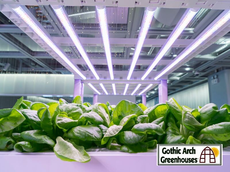 Hydroponic Gardening