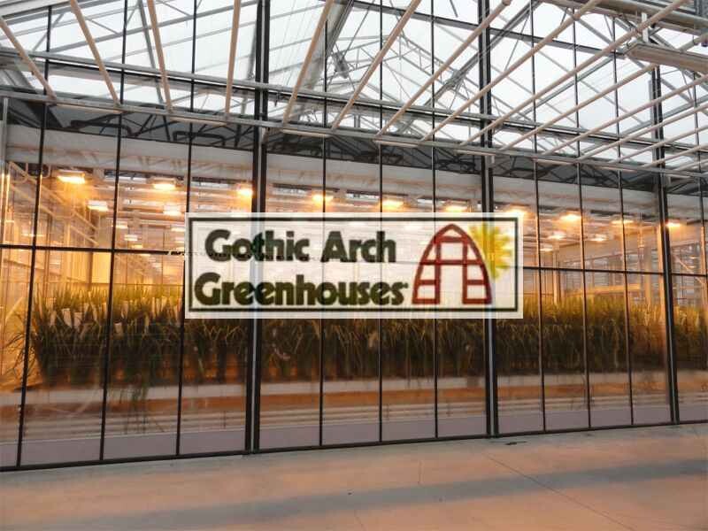 How Grow Lights Affect Greenhouse Plants