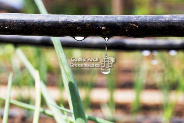 Drip Irrigation Systems vs. Flood Irrigation Systems