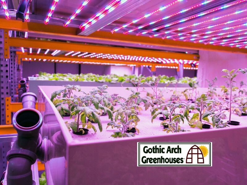 Aquaponic System at Gothic Arch Greenhouses