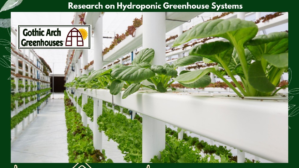 Modern hydroponic greenhouse system with nutrient-rich water channels growing leafy greens and herbs under controlled lighting and ventilation — ideal for advanced agricultural research and sustainable food production.”