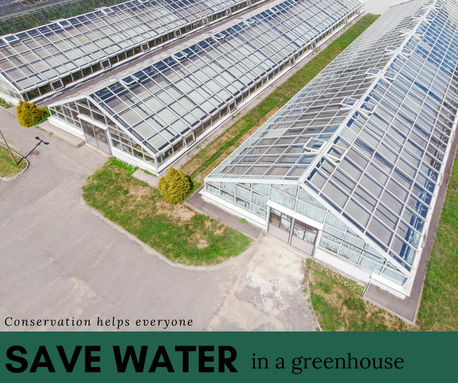 Greenhouse Growing Saves Water