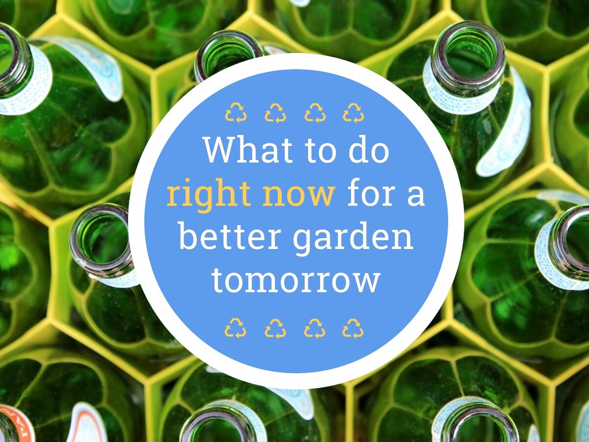 What to do right now for a better garden tomorrow