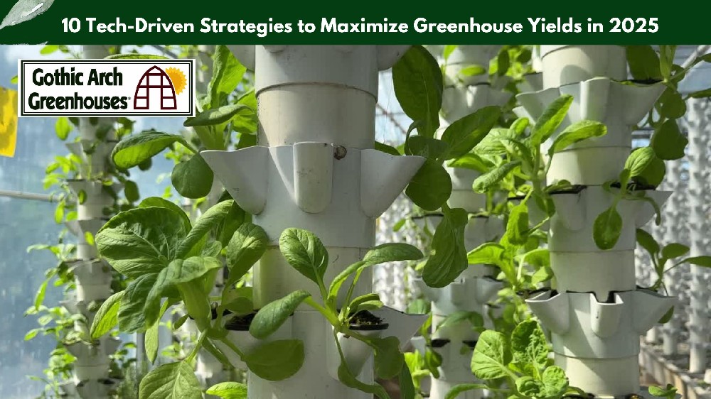 Modern high-tech greenhouse interior with automated irrigation system, LED grow lights, smart sensors, and healthy vegetable crops — showcasing 2025 technology for maximizing greenhouse yield